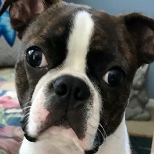 Meet your Posher, Lori